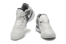 Nike LeBron NXXT Gen "Wolf Grey"
